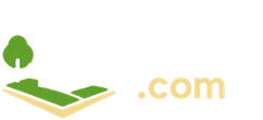 9teedin.com