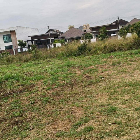 ขาย  ที่ดิน 152 ตรว  ทำเลยดีมาก   ตำบลแม่เหียะ  อำเภอเมืองเชียงใหม่