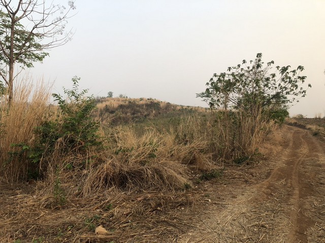 คุ้มค่าน่าลงทุนทรัพย์ในดิน  ธรรมชาติเนินเขา ที่ดินโฉนดแบ่งขาย หล่มเก่า เพชรบูรณ์ ใกล้ภูทับเบิก โทร 0968821857