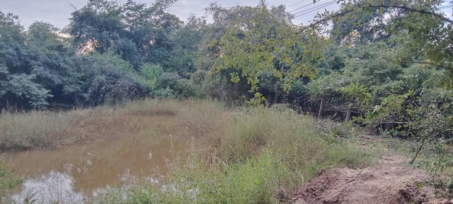 โปรปังทรัพย์ดีปลายปี68 ขายที่สวยติดทางหลวง1107 บ้านตาก จ.ตาก คมนาคมสะดวก ไร่ละ 300000 ต.ตากตก อ.บ้านตาก  จ.ตาก  0837124115