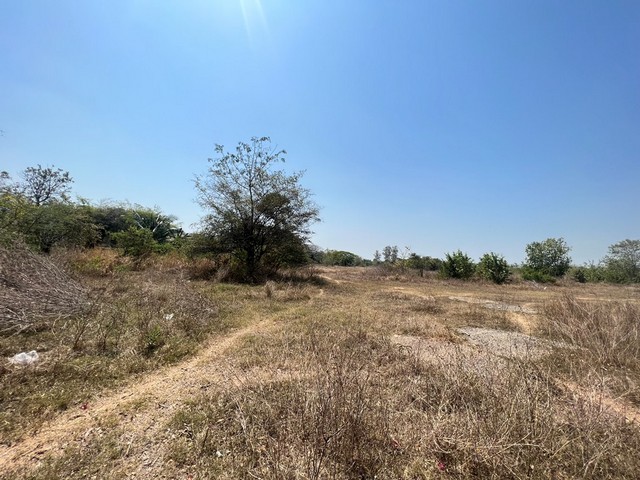 ขายที่ดินว่างเปล่ามือสอง      อำเภอเมืองยโสธร   ยโสธร