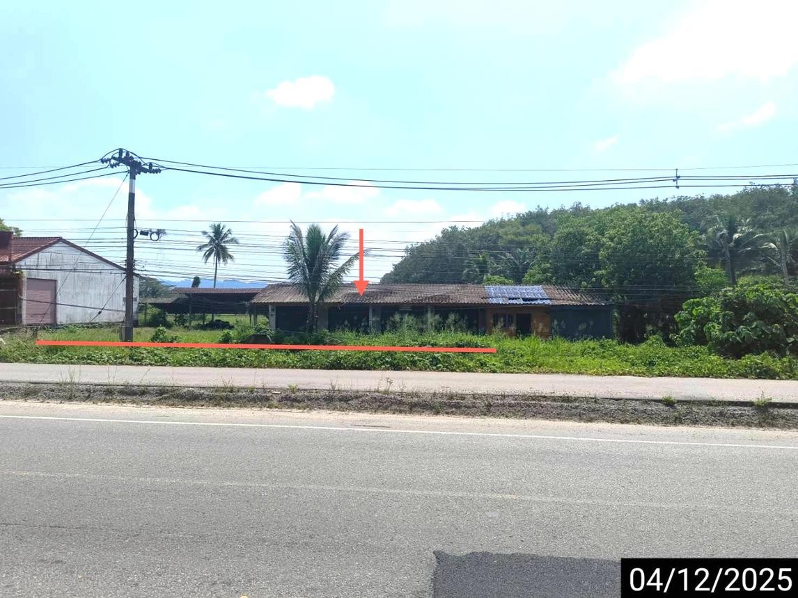 ขาย  บ้านเดี่ยว สุราษฎร์ธานี อำเภอ พนม จังหวัด สุราษฎร์ธานี