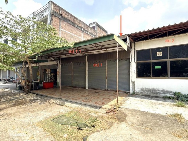ขายบ้านเดี่ยว ชัยภูมิ  ถนน ราษฎร์บรรจบ ตำบล ผักปัง อำเภอ ภูเขียว จังหวัด ชัยภูมิ