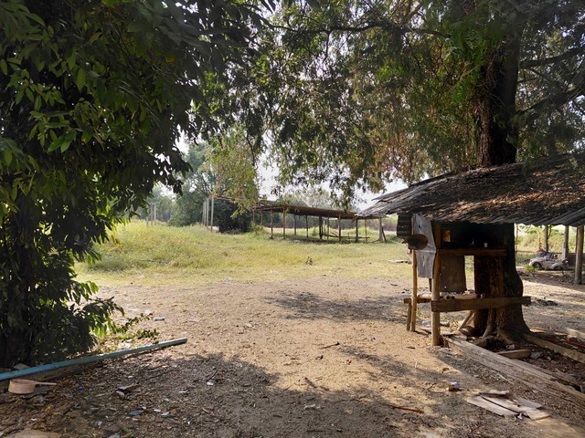 แปลงนี้ซื้อแบบผ่อนตรงกับเจ้าของได้ ที่ปากช่อง 2ไร่- 8ไร่ โฉนด ต.วังไทร อ.ปากช่อง จ.นครราชสีมา ไร่ละ  2.9 ลบ.สูงจากระดับน้ำทะเลมาก น้ำไฟพร้อม