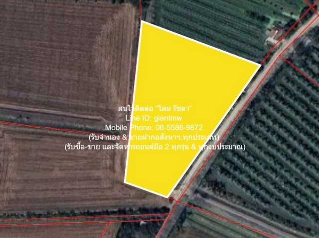 DSL-1046 ขาย ที่ดิน ขายที่ดินทางการเกษตร (ต้นดอกรัก) อ.นครชัยศรี นครปฐม 4-1-67 ไร่ ราคา 8835000 บาท  นครปฐม    8835000 บาท 4 ไร่ 1 งาน
