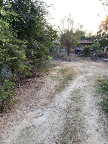 คุ้มค่าน่าลงทุนทรัพย์ในดิน  ขายบ้านไม้ จ.สิงห์บุรี  วิถีไทย  ต.โพทะเล วิถีไทย 262 วา ต.โพทะเล อ.ค่ายบางระจัน สิงห์บุรี 500000บาท