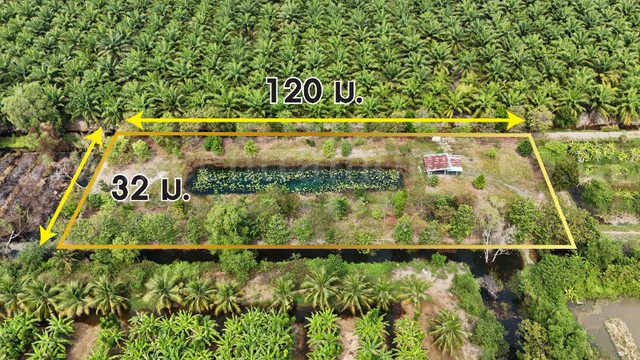 ที่ดินเปล่า 2-1-60 ไร่ เลียบคลอง 12 หนองเสือ ปทุมธานี