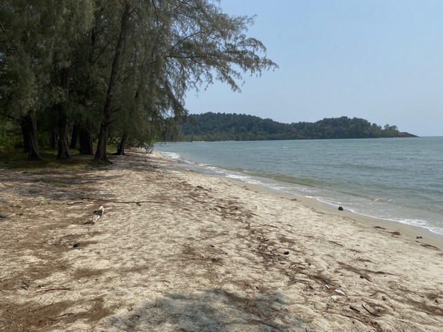 ขายที่ดิน เนื้อที่ 65-0-10 ไร่ ที่ดิน หาดทับทิม แหลมกลัด จังหวัดตราด