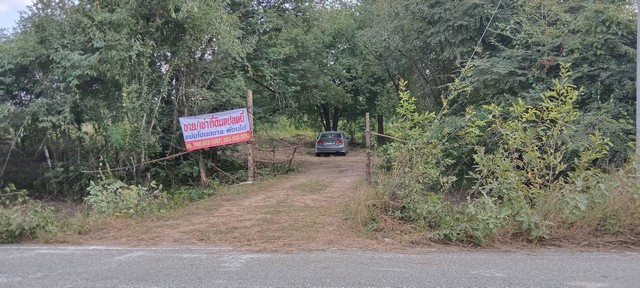 ใกล้ปีใหม่ดูทรัพย์มีมูลค่า ขายที่สวยติดทางหลวง1107 บ้านตาก จ.ตาก คมนาคมสะดวก ไร่ละ 300000 ต.ตากตก อ.บ้านตาก  จ.ตาก  0837124115