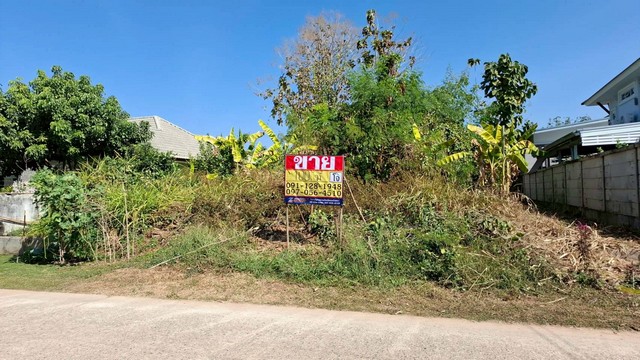 ขายด่วน ที่ดิน 100 ตร.วา.  ใกล้บึงหนองโคตร  บ้านเป็ด เมืองขอนแก่น    ZE608