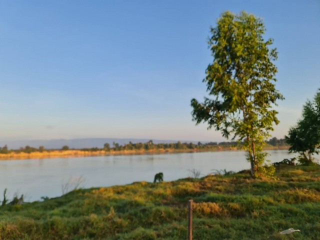 ที่ดินบ้านพร้อมโอนเจ้าของขายเอง ที่ติดแม่น้ำโขง ต.กุดบง อ.โพนพิสัย จ.หนองคาย  หลังติดแม่น้ำโขง ไร่ละ 2ล้านบาท โทร 096-882-1857