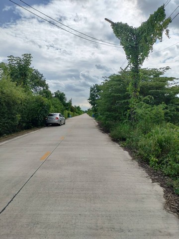 ขาย ที่ดินเปล่า เนื้อที่ 2 ไร่ (800 ตารางวา) ซ.บึงบอน 10 อ.หนองเสือ จ.ปทุมธานี