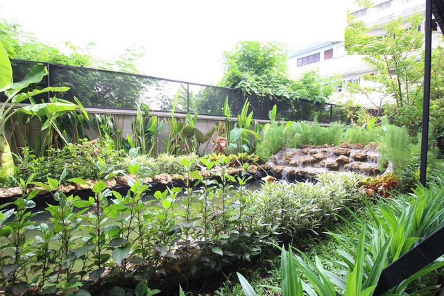 RENTกิจการศูนย์ดูแลผู้สูงอายุ ขนาด2ไร่ ใกล้รถไฟฟ้าสายสีน้ำเงิน ติดต่อคุณโบว์  0837824962