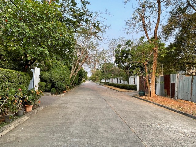 P1983 ขายที่ดินขนาด 296 ตารางวา ซอยศรีนครินทร์ 55 ซอยหมู่บ้านเสรีวิลล่า ใกล้ถนนศรีนครินทร์ สวนหลวงร.9 หลังห้างพาราไดซ์พาร์ค