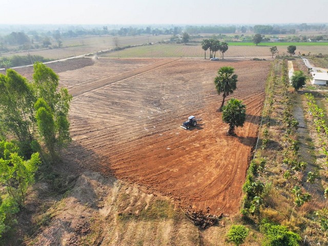 ที่ดิน 1 ไร่ เพียง2.75แสน฿ ใกล้กรุงฯ ทำบ้านสวนคุ้มมากๆจ้า หนองหญ้าไซ สุพรรณบุรี o86-3ol-6l6l