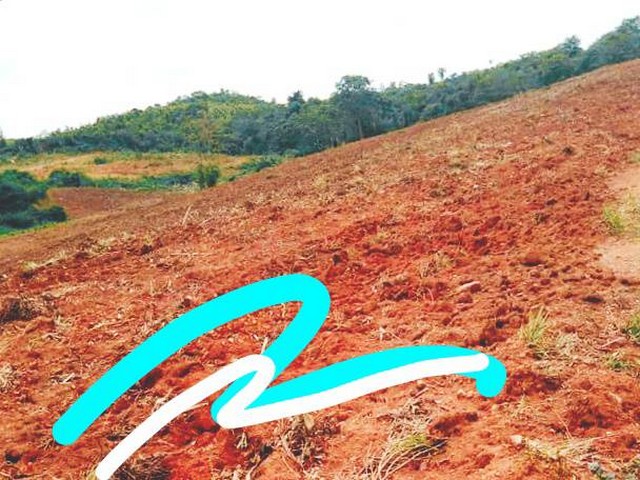 สนใจมีที่สวยๆสักแปลงโซนนี้ไหม  ธรรมชาติเนินเขา ที่ดินโฉนดแบ่งขาย หล่มเก่า เพชรบูรณ์ ใกล้ภูทับเบิก โทร 0968821857