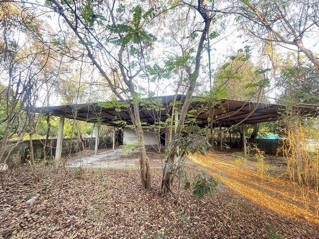 ขายที่ดินพร้อมสิ่งปลูกสร้าง สามารถแบ่งแปลงขาย หรือทำบ้านขายได้หน้ากว้าง 50 เมตร