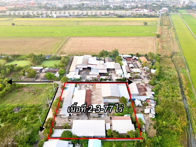 ขายด่วน ๆ พื้นที่ดิน - 1177 ตร.ว.  20000000 - ไม่ไกลจาก อ.ลำลูกกา  คลอง8 อยู่สบาย