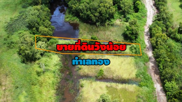 ขายที่ดิน ใกล้ตลาดวังน้อย 200ตร.ว. ต.ลำตาเสา อ.วังน้อย จ.พระนครศรีอยุธยา