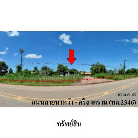 ขายโรงงาน/โกดัง  ถนน นาหว้า-ศรีสงคราม (ทล.2346) ตำบล นาหว้า อำเภอ นาหว้า จังหวัด นครพนม