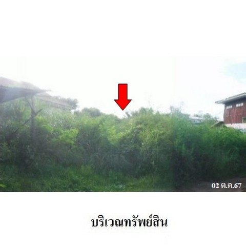 ขายที่ี่ดินว่างเปล่า  ถนน สิทธิศักดิ์บำรุง ตำบล สว่างแดนดิน อำเภอ สว่างแดนดิน จังหวัด สกลนคร