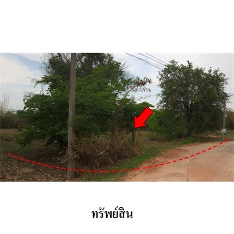 ขายที่ดินว่างเปล่า ถนน สายบ้านยางป่า-โคกสูง (ชย.4077) ตำบล รอบเมือง อำเภอ เมืองชัยภูมิ จังหวัด ชัยภูมิ