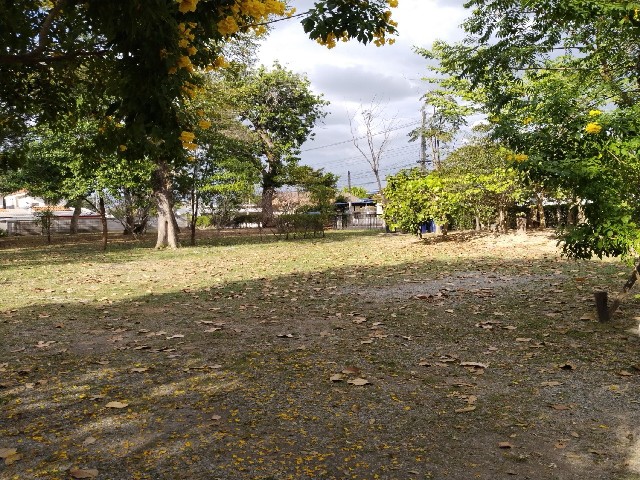 ขายที่ดินเปล่า เนื้อที่ 571.7 ตารางวา ใกล้สนามบิน ถนนราชสุดา ต.บ้านจั่น อ.เมือง จ. อุดรธานี