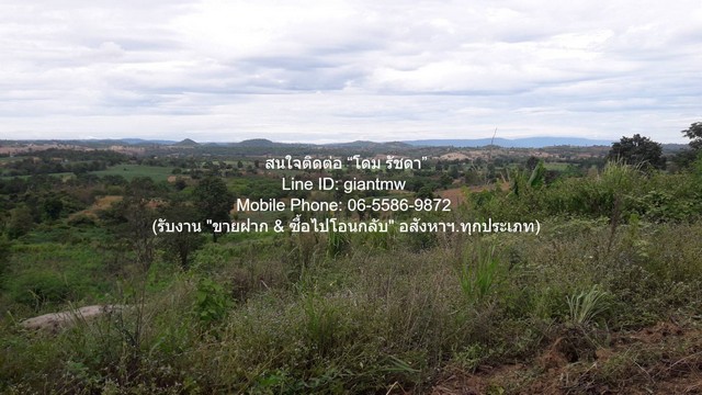 DSL-1246 ขาย ที่ดิน ขายที่ดินบนเนินเขา 10-1-5 ไร่ (ใบอ่อน: ส.ป.ก./สร.5 ก.) วังน้ำเขียว นครราชสีมา ราคา 4500000 บาท (โอนฟรี) ใกล้กับ โรงเรียนบ้านซับไทรทอง 4500000 บาท นครราชสีมา
