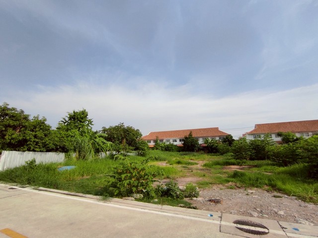 Sale พื้นที่ดิน ที่ดินเปล่า 1 ไร่ ใกล้สนามบินสุวรรณภุมิ เมก้าบางนา 10000000 บาท.  area 400 ตาราง-วา ไม่ไกลจาก สนามบินสุวรรณภูมิ ตลาดสดบางพลี สารสาสน์สุวรรณภูมิ จัดหนักจัดเต็ม