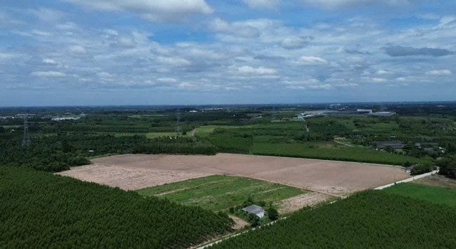 ที่ดินหนองอิรุณบ้านบึงแถมบ้าน 55-1-69ไร่ อ.บ้านบึง จ.ชลบุรี