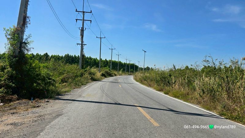 ขายที่นาเหมาะทำโคกหนองนา ติดถนน 3 ด้าน ต.บางสมบูรณ์ อ.องครักษ์ จ.นครนายก มีเพื่อนบ้าน ไฟฟ้า ประปา