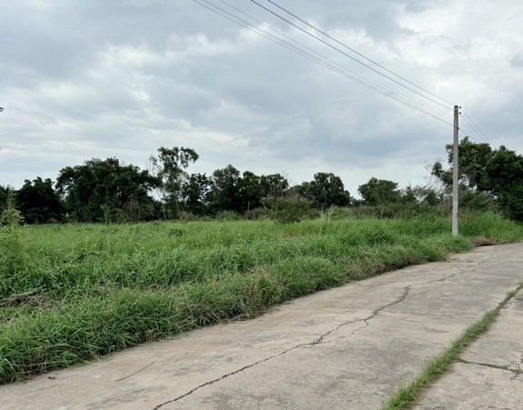 ขายที่ดินคลองหลวง คลองสี ฝั่งตะวันออก ปทุมธานี ขนาด 2ไร่50ตารางวา