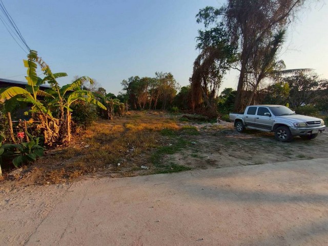 ขายที่ดินห้วยใหญ่ พัทยา ชลบุรี ใกล้ หาดจอมเทียน เนื้อที่  1 ไร่