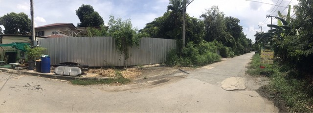 ขายที่ดินแปลงสวยทำเลดีมาก ราชวินิตบางแก้ว 1 ขนาด 288 ตร.ว. ใกล้เมกาบางนา เหมาะบ้านหรู