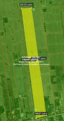 DSL-609 ขาย ที่ดิน ขายที่ดินทุ่งนาแปลงใหญ่ติดถนนใหญ่ อ.วังทอง จ.พิษณุโลก 53-3-98 ไร่ ราคา 13498750 บาท (250000 บาท/ไร่) พิษณุโลก    ชั้นทั้งหมด 1 ชั้น ใกล้กับ สวนน้ำรุ่งวาสนา 4