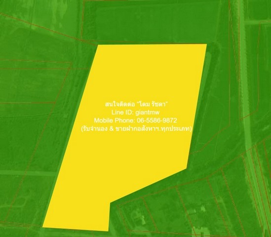 ที่ดิน ขายบ้านพร้อมที่ดินสวนมะพร้าว มะม่วง บึงพระ จ.พิษณุโลก ติดถนนเลี่ยงเมืองพิษณุโลก 56-0-17 ไร่ ราคา 199 ล้านบาท ขนาดพื้นที่ 56 Rai 0 NGAN 17 ตาราง.วา  199000000 บ. ด่วน ๆ