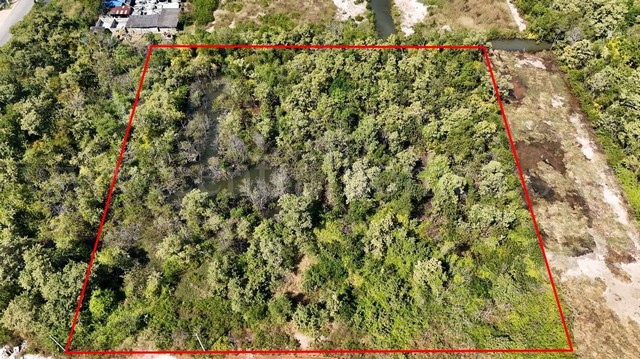 ขายด่วน ที่ดินเปล่า 4 ไร่ แบ่งขายได้แปลงละ 1 ไร่ บางปะกง - ฉะเชิงเทรา ราคาถูก