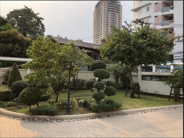 ให้เช่าบ้านเดี่ยว2ชั้น800ตร.ม.ย่านสาธรสวนพลูงามดูพลีใกล้MRTลุมพินี BTSช่องนนทรี