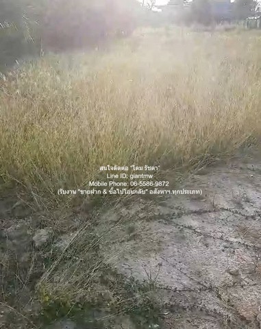 ที่ดิน ขายที่ดินเปล่าถมแล้ว 200 ตร.ว. ติดถนนพุทธมณฑลสาย 1 ราคา 30000000 บาท (150000 บาท/ตร.ว.) ราคาดี เยี่ยม กรุงเทพ