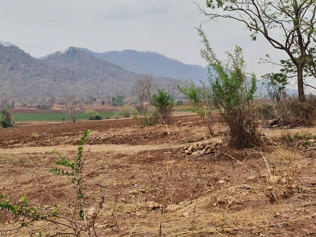 ใกล้ปีใหม่ดูทรัพย์มีมูลค่า ที่ดินติดภูเขา ต.พระนอน อ.เมือง จ.นครสวรรค์ วิวสวยมากๆๆ 5ไร่เศษ โทร 096-882-1857