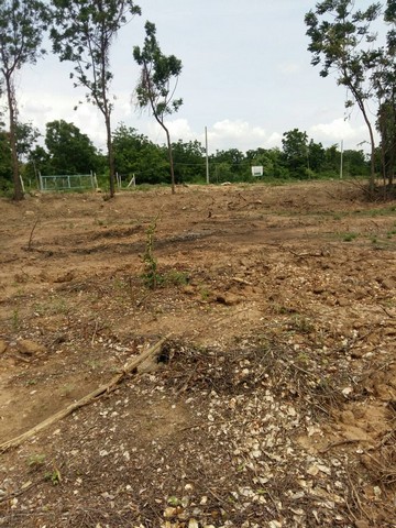 คุ้มค่าน่าลงทุนทรัพย์ในดิน ขายที่สวยติดแม่น้ำน่าน ชุมแสง  จ.นครสวรรค์ 300000 บาท.วิวแม่น้ำเกษตรดีงามสวยสมบูรณ์