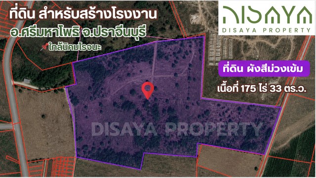 ที่ดิน ปราจีนบุรี นิคมโรจนะ ผังสีม่วง  อ.ศรีมหาโพธิ