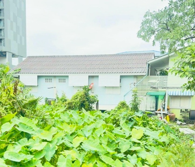 บ้านเดี่ยวชั้นเดียว ภาษีเจริญ 2 นอน BTS วุฒากาศ 750 ม.จัดเต็มเฟอร์ฯ  40 ตร.ม. ม.สยาม 1.6 กม. เดอะมอลล์ ท่าพระ 1.3 กม. ตลาดพลู 400 ม.