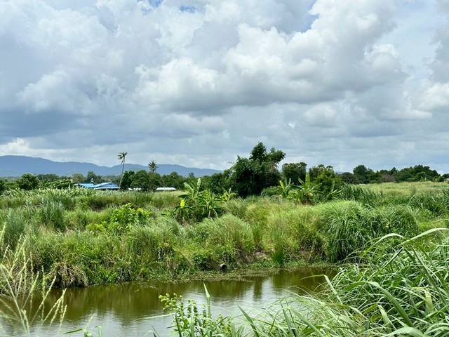 ขายที่ดินหนองขาม ติดกับไร่คาราวาน ศรีราชา แปลงสวย ราคาดี FP-L01592