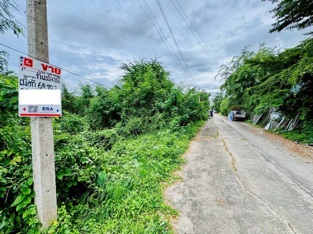 ขายที่ดิน 64  ตารางวา    ตำบลช่องสะแก อำเภอเมืองเพชรบุรี  จังหวัดเพชรบุรี