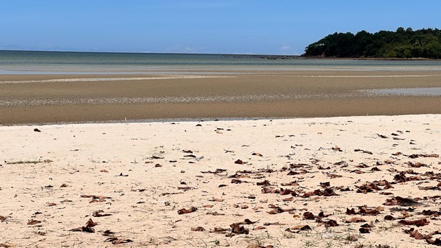 รีบหาที่ทางสวยงามสักแปลง ขายที่ดินริมหาดสะพลีทรายขาวน้ำใสคราม สวยงามวิวทะเลธรรมชาติสุดสุด ปะทิวใกล้หาดสวยทุ่งวัวแล่น