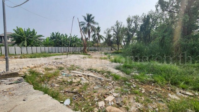 ที่ดินเปล่า 2-3-8 ไร่ ตารางวา ซอย มหาสวัสดิ์ - บางกรวย แปลงสวย ถมแล้ว