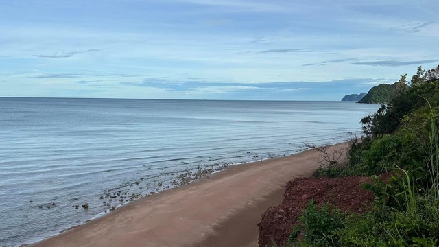 โปรปังทรัพย์ดีปลายปี68  ที่ติดทะเล 2.9 ลบ./ไร่ ฝั่งแดง ผาแดง หายาก ประจวบ บางสะพานน้อย สวยมากแปลงนี้ ขายถูกสุดในย่านนี้