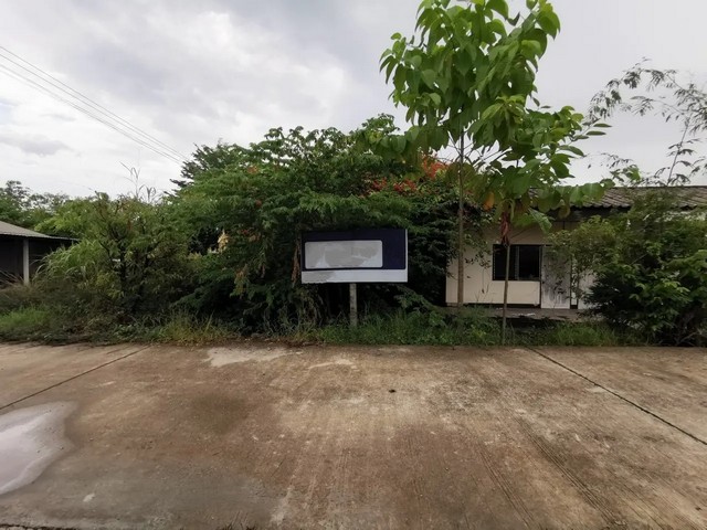 ขาย บ้านเดี่ยว เมืองพิษณุโลก ถนน บรมไตรโลกนารถ ราคาโปรโมชั่น ลดพิเศษ