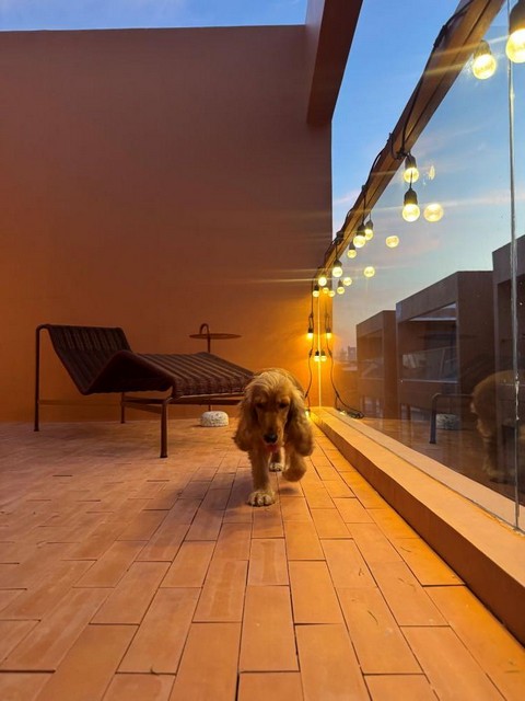 P2006 ขายบ้านเดี่ยว ย่าน อารีย์ พร้อม Rooftop ใกล้ BTS อารีย์ บ้านสร้างใหม่ ซอยศุภราช 1